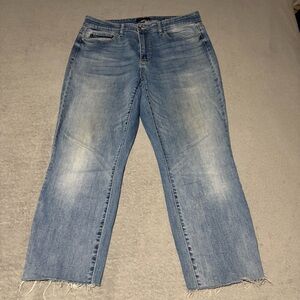 Judy Blue boyfriend fit raw hem size 16W